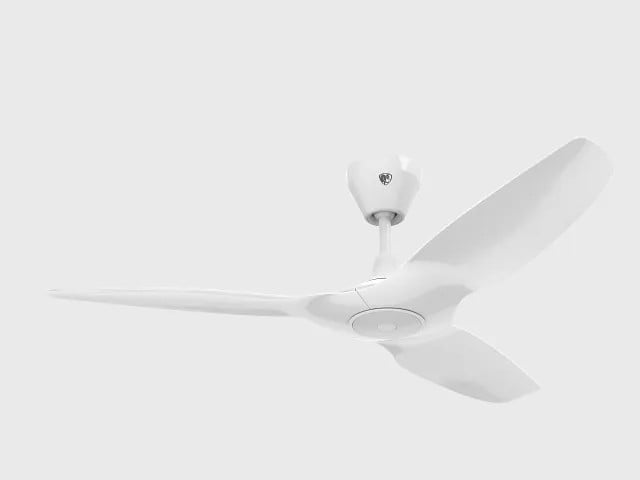 Haiku® L Ceiling Fan